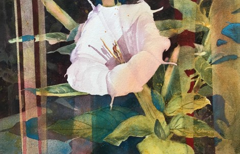 Datura Fantasy