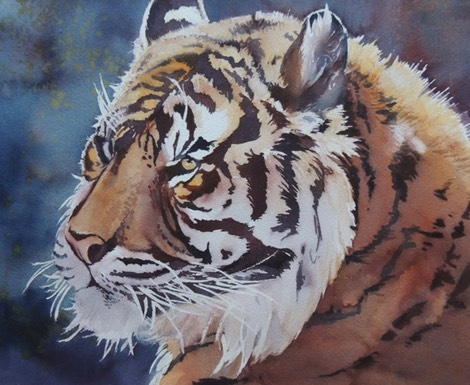Tiger Portrait
