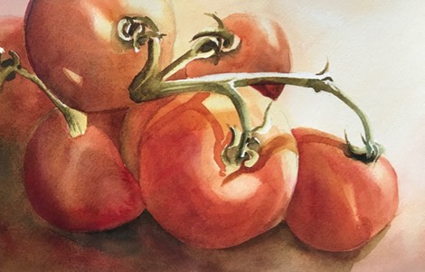Tomato Temptation