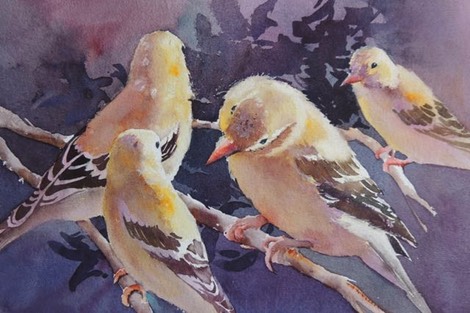 Watching the Chicks II